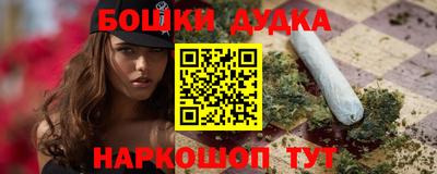 apvp Аша