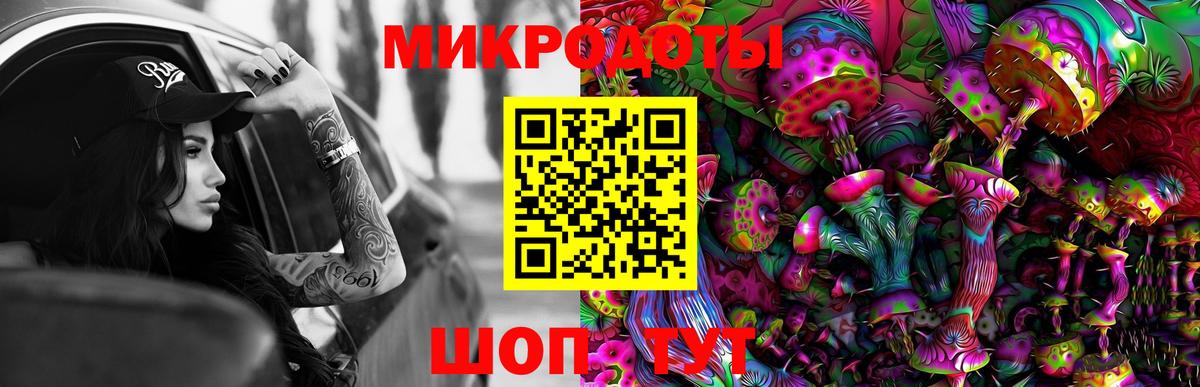 Карталы  Галлюциногенные грибы Cubensis  Вход с VPN 